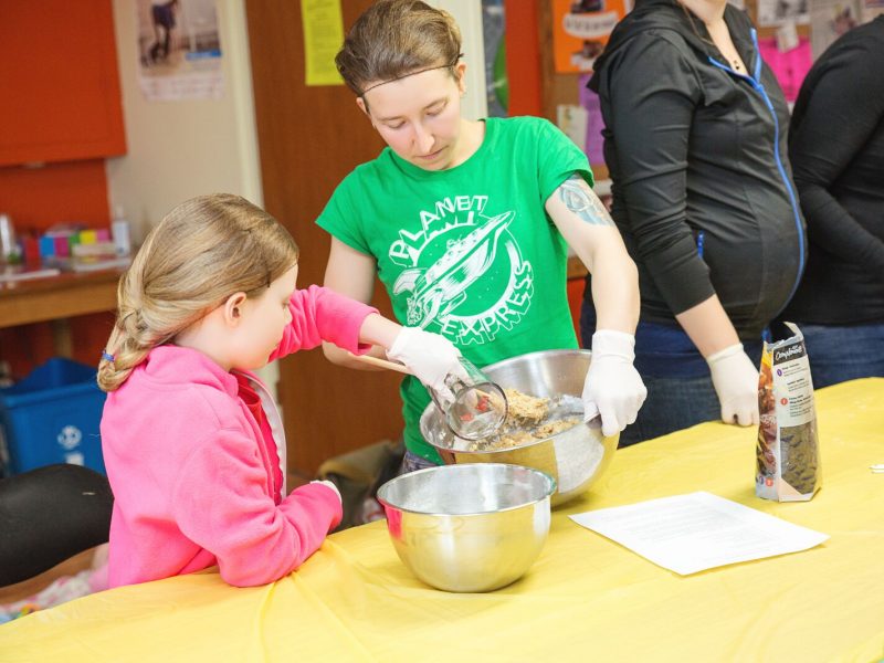 2014-04-23_MFBellechasse3